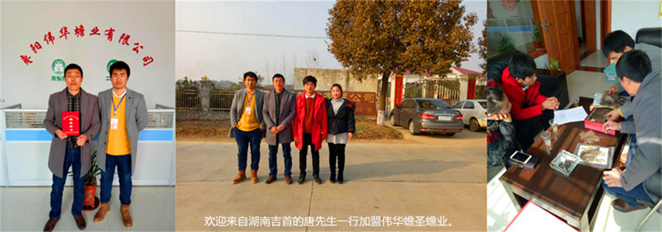 微信图片_2018030509252918_副本.jpg
