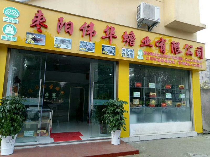 mmexport1514162295869.jpg